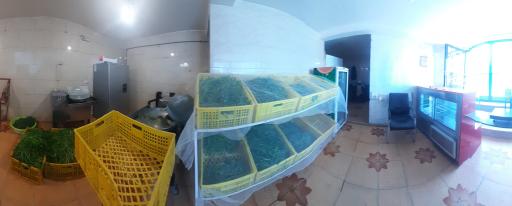 عکس سبزی پاک کنی تک گشنیزرامتین