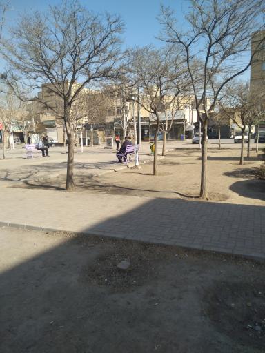 عکس بوستان شقایق