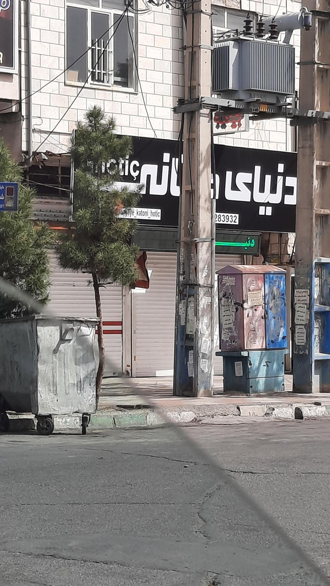 عکس دنیای کتانی