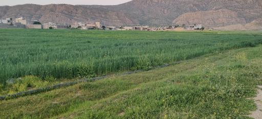 عکس خومه زار