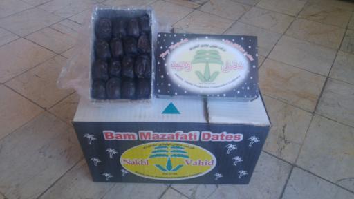 عکس شرکت نخل وحید 