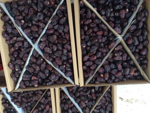 عکس شرکت نخل وحید 