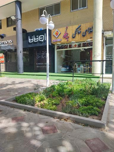 عکس غذای خانگی بانو