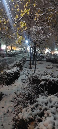 عکس بوستان شقایق