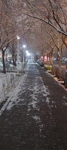 عکس بوستان شقایق