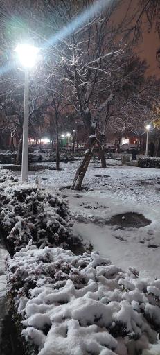 عکس بوستان شقایق