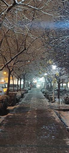 عکس بوستان شقایق