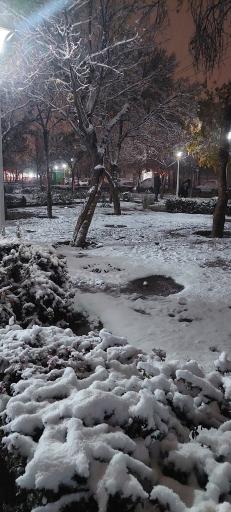 عکس بوستان شقایق