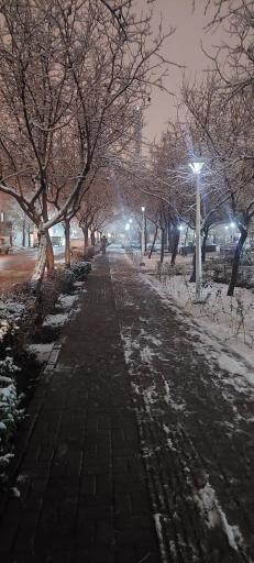 عکس بوستان شقایق