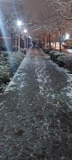 عکس بوستان شقایق