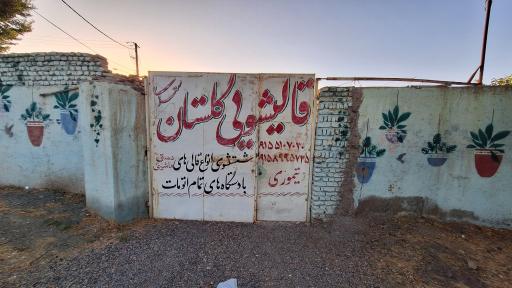 عکس قالیشویی گلستان سعدی