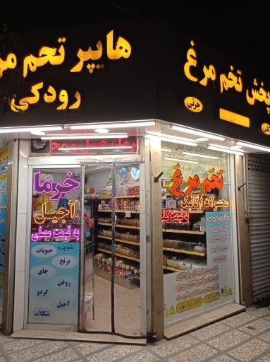 عکس هایپر ارگانیک و پخش تخم مرغ رودکی