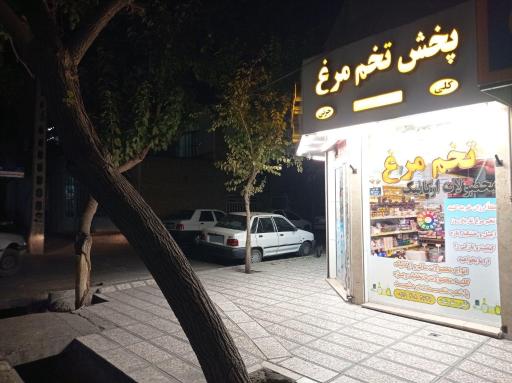 عکس هایپر ارگانیک و پخش تخم مرغ رودکی