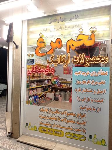 عکس هایپر ارگانیک و پخش تخم مرغ رودکی