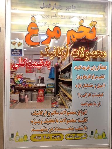 عکس هایپر ارگانیک و پخش تخم مرغ رودکی