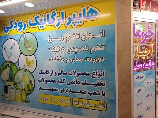 عکس هایپر ارگانیک و پخش تخم مرغ رودکی