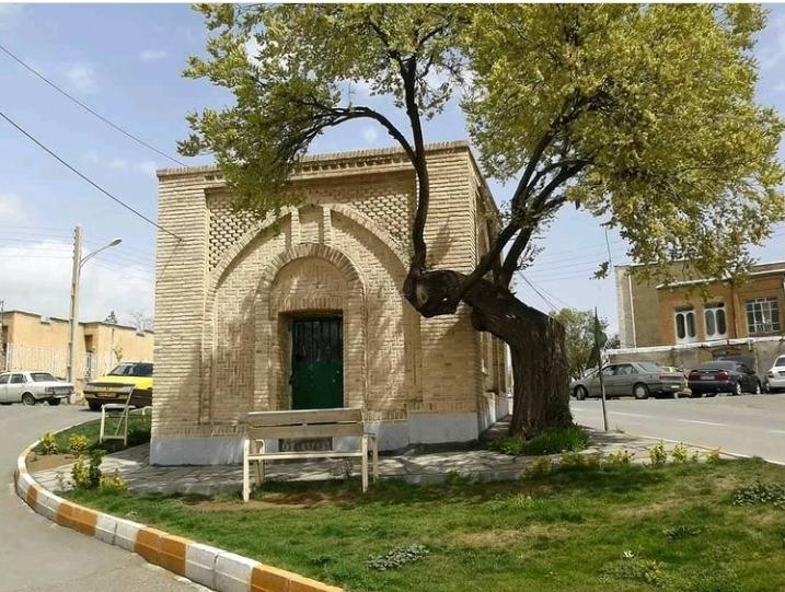 عکس 40 مەردەی شیخان
