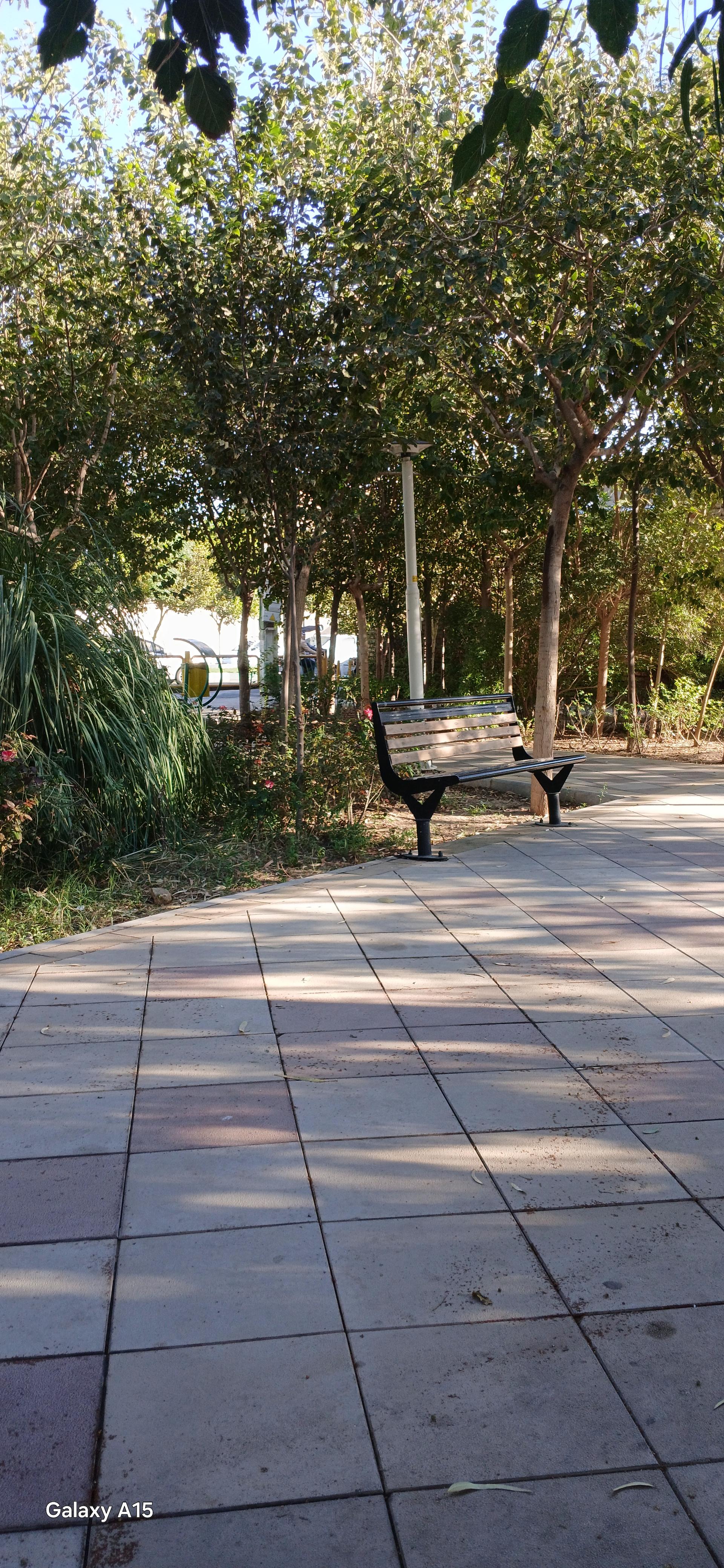 عکس بوستان امیرکبیر