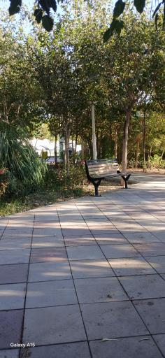 عکس بوستان امیرکبیر