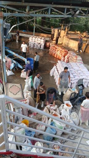 عکس هویج شویی محسن عابدی