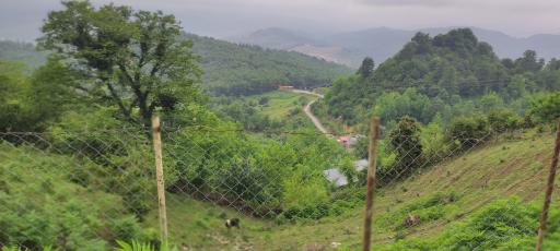 عکس کلبه جنگلی داشاب 