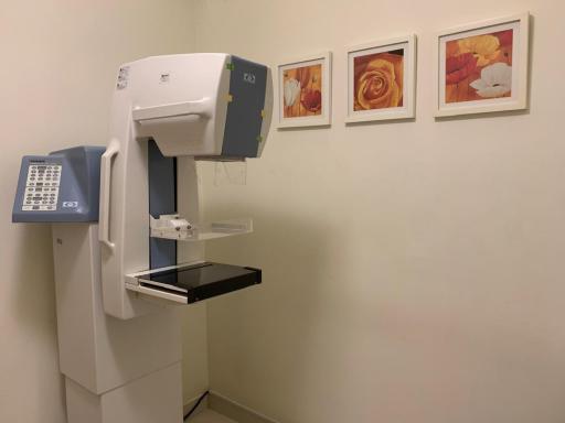 عکس رادیولوژی و سونوگرافی دولت