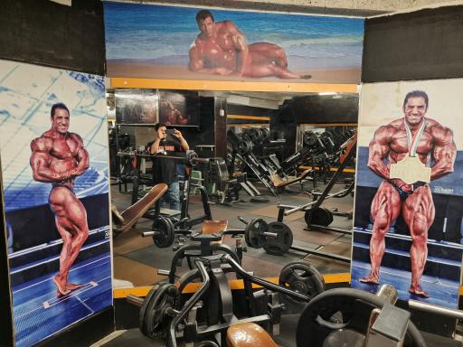 عکس آکادمی بدنسازی سناتور 