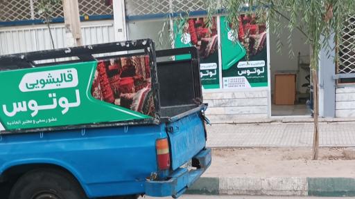 عکس قالیشویی لوتوس