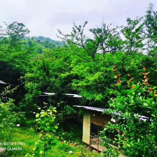 عکس کافه باغ سنتی (باغ انار)