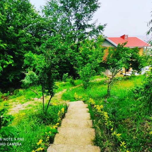 عکس کافه باغ سنتی (باغ انار)