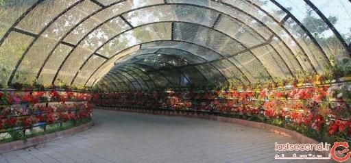 عکس مجتمع توریستی کوثر اردبیل