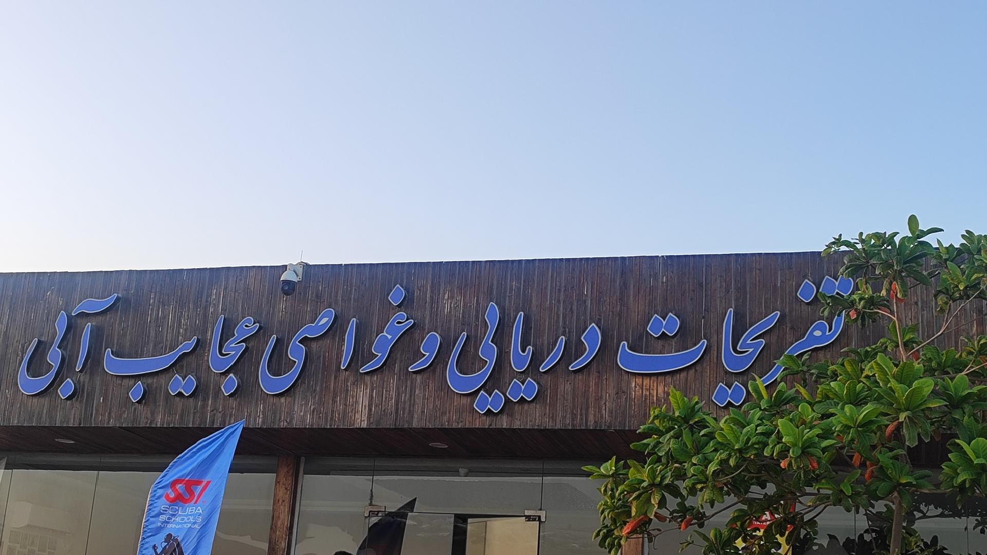 عکس کلوپ غواصی عجایب آبی 