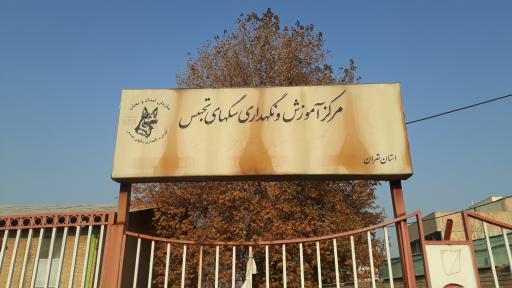 عکس مرکز آموزش و نگهداری سگهای تجسس