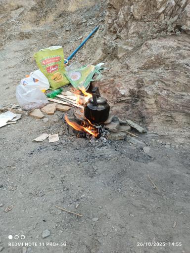 عکس چشمه تک درخت