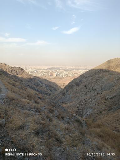 عکس چشمه تک درخت