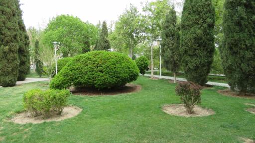 عکس بوستان کمال