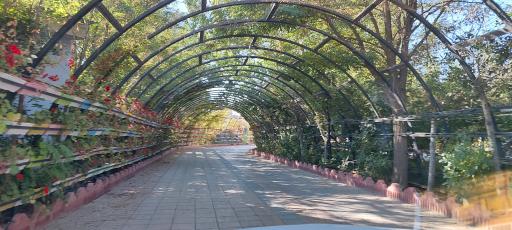 عکس مجتمع توریستی کوثر اردبیل