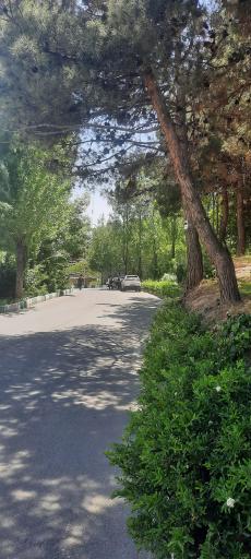 عکس دانشگاه شهید بهشتی