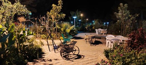 باغ گیاه‌ شناسی