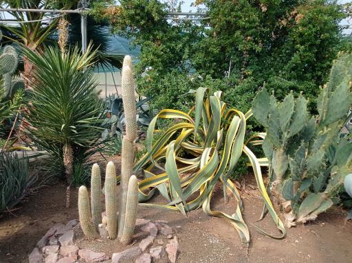 عکس باغ گل های کرمانشاه