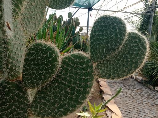 عکس باغ گل های کرمانشاه