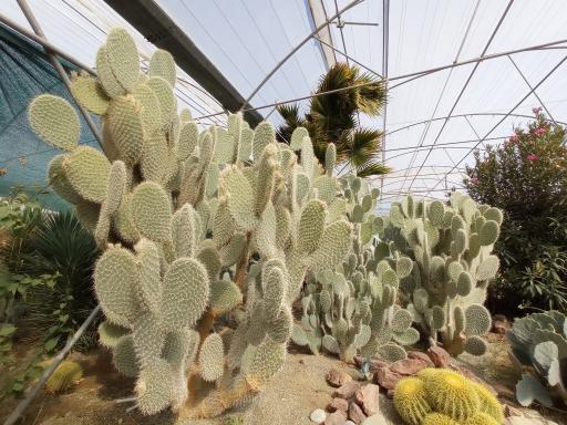 عکس باغ گل های کرمانشاه