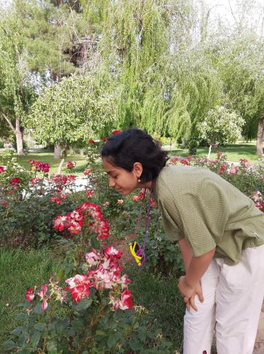 عکس باغ گل های کرمانشاه