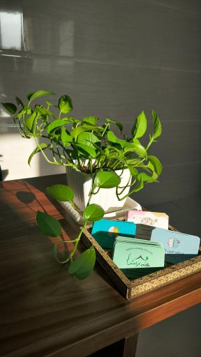 عکس کلینیک روانشناسی خانه آرامش