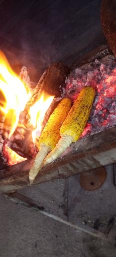 عکس پاتوق دکه