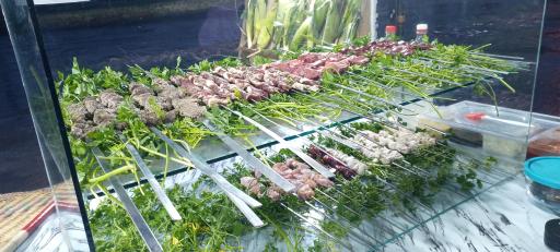 عکس پاتوق دکه