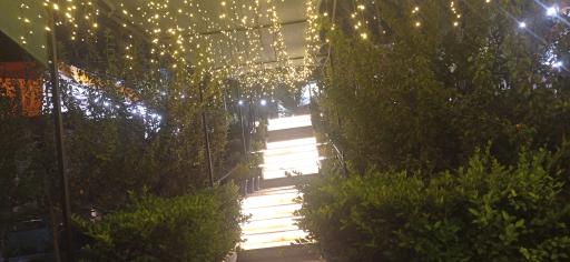 عکس بستنی آقا بزرگ