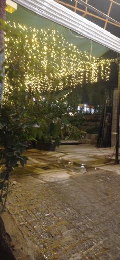 عکس بستنی آقا بزرگ