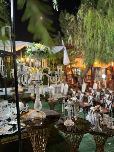 عکس باغ تالار تخت جمشید