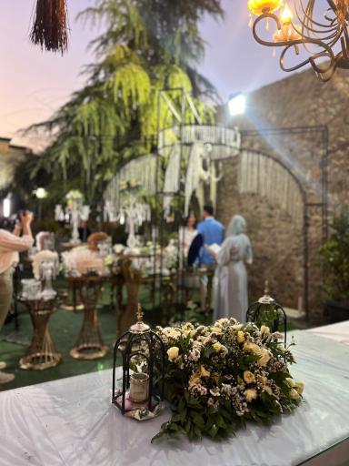 عکس باغ تالار تخت جمشید